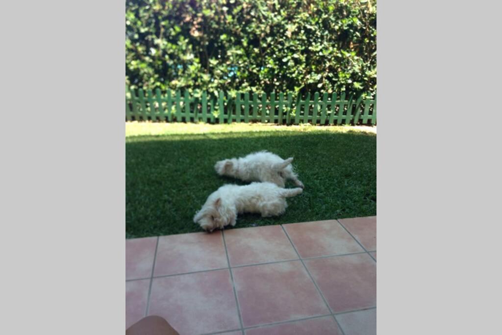 Jardines De Denia I公寓 外观 照片